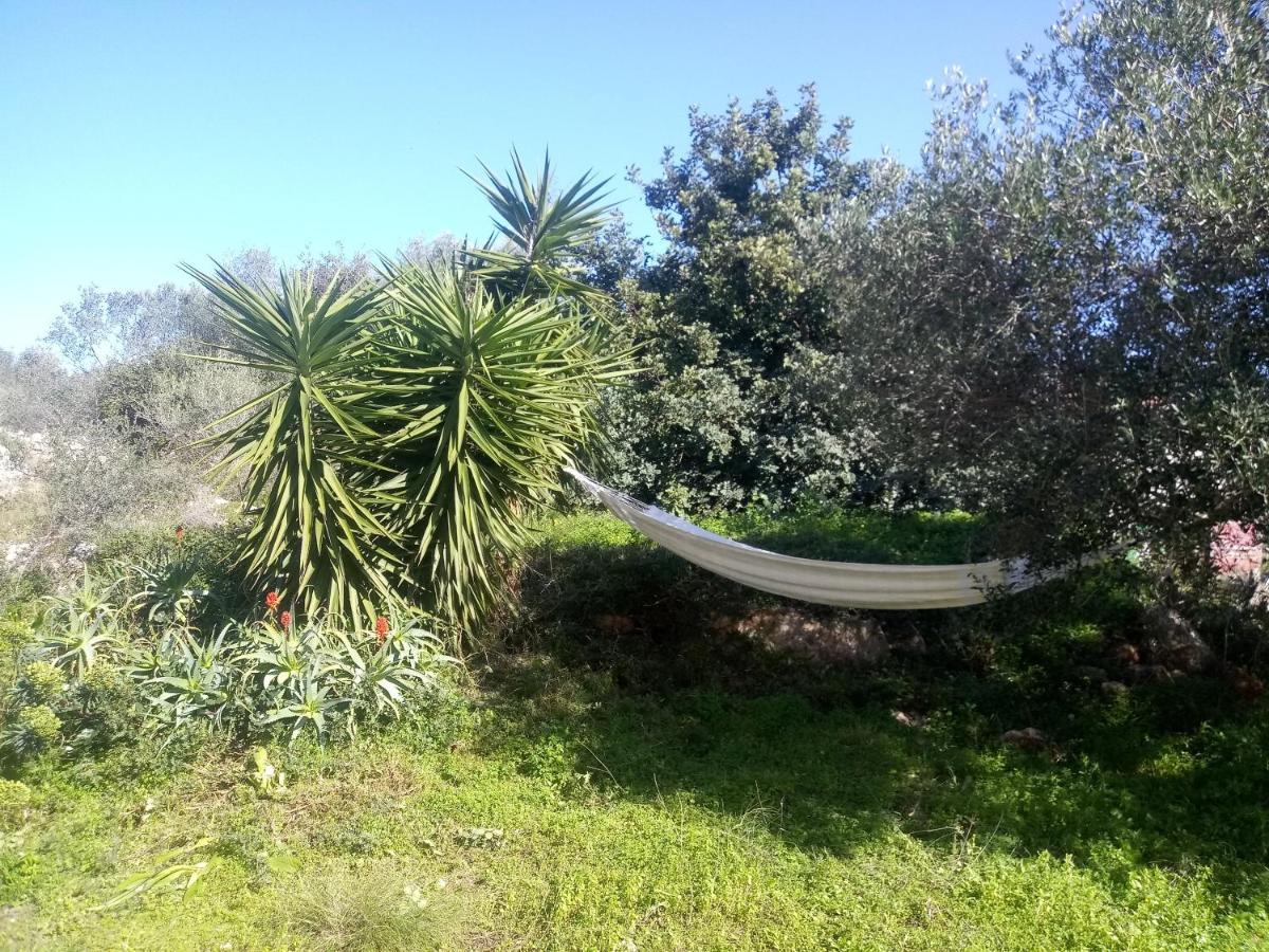 Manolo S Olive Farm, Apartment With Seaview Chania  Eksteriør billede
